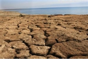 resizedimg247829-jpg