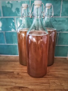 kombucha-1074594_960_720