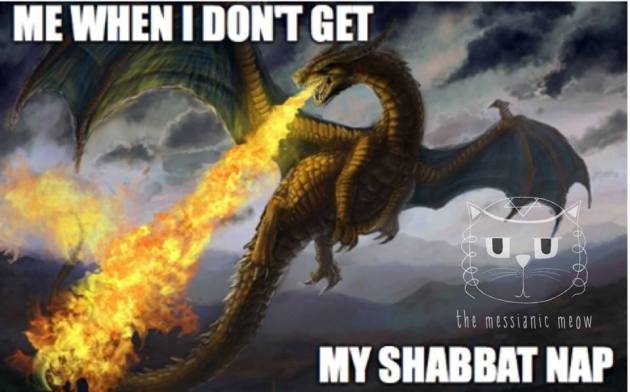 33167889_2008386846093412_8418911854721499136_n